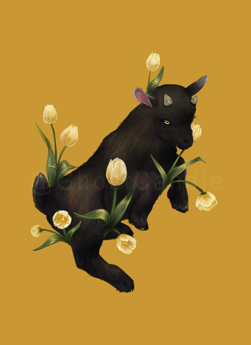 Darling Omen - Goat Darling Omen - Goat